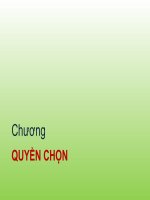 Bài giảng quản trị danh mục đầu tư   chương 7:  quyền chọn