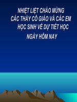 Tiết 116: ÔN TẬP TRUYỆN VÀ KÍ