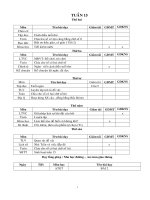 Giáo án các môn lớp 4 tuần 15