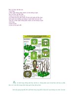 sinh học 6 . Bài 38