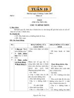 GIÁO ÁN CÁC MÔN LỚP 5 TUẦN 19