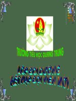 bồi dưỡng kết nạp đội