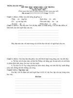 Đề thi HSG cấp trường Tiếng Việt 3