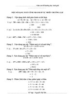 MỘT SỐ DẠNG TOÁN TÍNH NHANH SỐ TỰ NHIÊN THƯỜNG GẶP