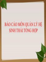 Bài thuyết trình báo cáo môn quản lý hệ thống sinh thái tổng hợp xử lý nước thải bằng thực vật thủy sinh