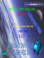 BAI 45 THUC HANH VIRUT H5N1