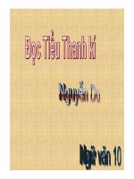 Bài giảng ngữ văn 10- Đọc tiểu Thanh Kí ( Nguyễn Du)