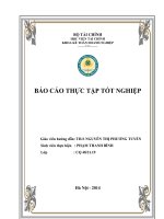 BÁO CÁO THỰC TẬP -Thực trạng một số phần hành kế toán chủ yếu tại Công ty CP nhựa và môi trường xanh An Phát