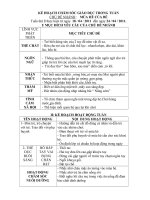 Mùa hè của bé( nhánh 2)