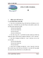 Tiếu luận Quản trị chiến lược