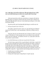 câu hỏi lý thuyết kiểm toán căn bản có đáp án