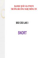 Báo Cáo Đồ án Snort IDSIPS