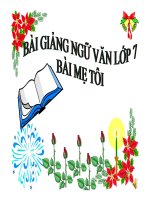 Bài giảng ngữ văn 7- Mẹ tôi