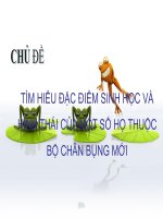 TÌM HIỂU ĐẶC ĐIỂM SINH HỌC VÀ HÌNH THÁI CỦA MỘT SỐ HỌ THUỘC BỘ CHÂN BỤNG MỚI