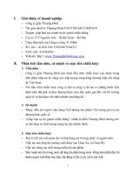 Phân tích tầm nhìn, sứ mệnh và mục tiêu chiến lược của giày Thượng Đình