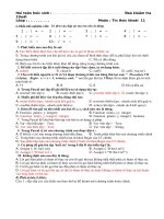 kiểm tra 1 tiết kỳ 2 khối 11 (4 đề - gồm 2 phần trắc nghiệm và tự luận)