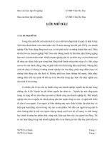 Hoàn thiện công tác tuyển dụng nhân sự tại công ty TNHH Thiên Thiên Nhân