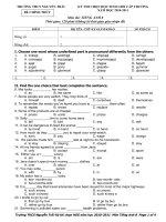 De thi HSG Tieng anh 8