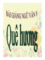 Bài giảng ngữ văn 8- Quê hương