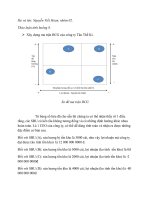 Quản trị chiến lược Xây dựng ma trận BCG của công ty Tân Thế Kỉ.
