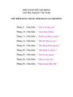 CÁC CHỦ ĐIỂM CỦA SAO NHI ĐỒNG TRONG NĂM HỌC (DIỆN KT)