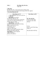 Giáo án lớp 3 buổi 2 trọn bộ