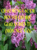 Tiết 89: Văn bản văn học