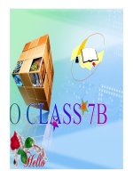 Bài giảng tiếng anh 7- Unit 16. People and Places