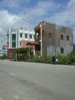 phương tiện giao thông phổ biến_mẫu giáo lớn