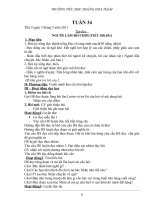 GIÁO ÁN MÈO Ú L2 - T34- KNS