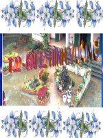 Bài 12 HÌNH VUÔNG