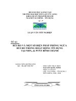 rủi ro và một số biện pháp phòng ngừa rủi ro trong hoạt động tín dụng tại NHNN  PTNT huyện bình chánh