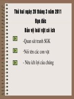 Bài 30: Bảo vệ loài vật có ích