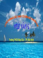 Ông lão đánh cá và con cá vàng ( rất hay )