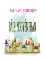 Bài giảng sinh học 9- Nguyên Phân