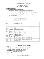 giao an 5 tuoi tuan 31