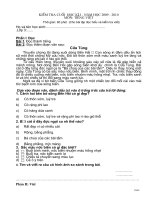 KHẢO SÁT CUỐI KÌ 1 LỚP 3