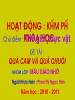 Quả cam và quả chuối