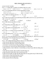 Đề cương ôn tập toán 8 HK II