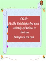 Đặc điểm hình thái phân loại một số loài thuộc họ Mytilidae và Mactridae Kỉ thuật nuôi vẹm xanh
