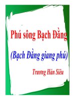 Bài giảng ngữ văn 10- Phú sông Bạch Đằng ( Trương Hán Siêu)