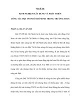 SKKN  KINH NGHIỆM xây DỰNG và PHÁT TRIỂN CÔNG tác đội TNTP hồ CHÍ MINH TRONG TRƯỜNG THCS