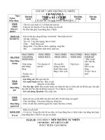 Mùa hè của bé_tuần 30