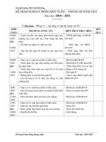 Kế hoạch tuần 2010-2011