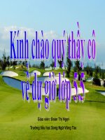 Toán-Ngợi-Giải toán về tỉ số phần trăm