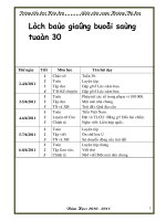 giao an chuan lop 3 tuan 30