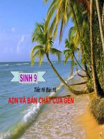 Bai 16: ADN va ban chat cua gen