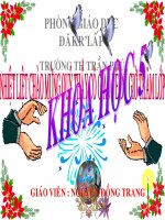 khoa hoc tuan 32 tiet 64