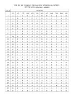 Đáp án Đề thi thử đại học Khối B năm 2011-C.F