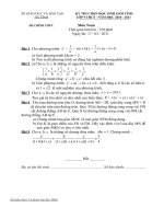 Đề  thi chọn HSG tỉnh môn Toán năm học 10-11.có đáp án